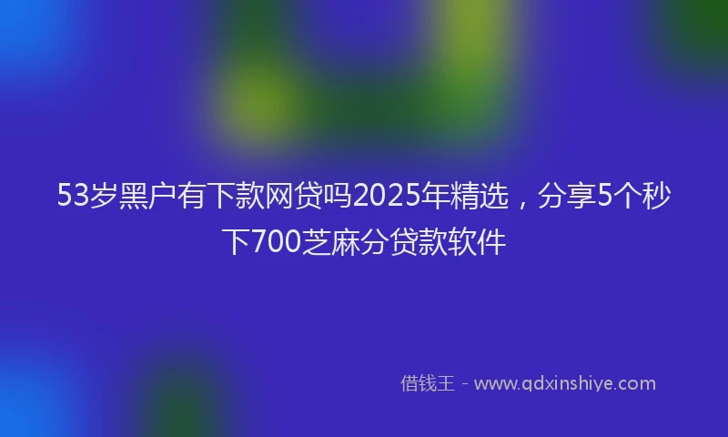 53岁黑户有下款网贷吗2025年精选,分享5个秒下700芝麻分贷款软件