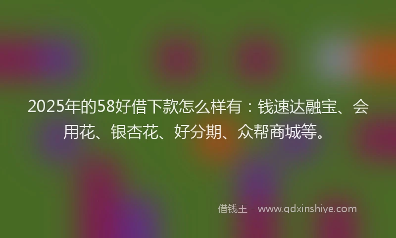 2025年的58好借下款怎么样有：钱速达融宝、会用花、银杏花、好分期、众帮商城等。