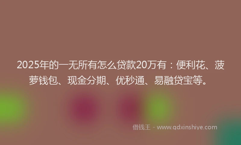 2025年的一无所有怎么贷款20万有：便利花、菠萝钱包、现金分期、优秒通、易融贷宝等。
