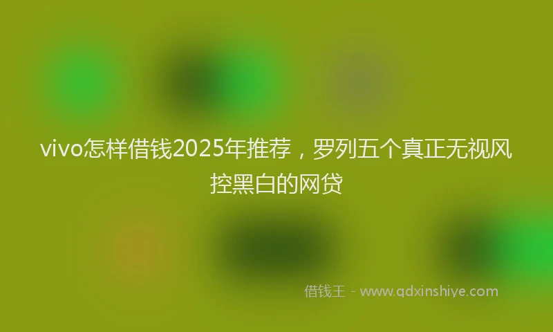 vivo怎样借钱2025年推荐，罗列五个真正无视风控黑白的网贷