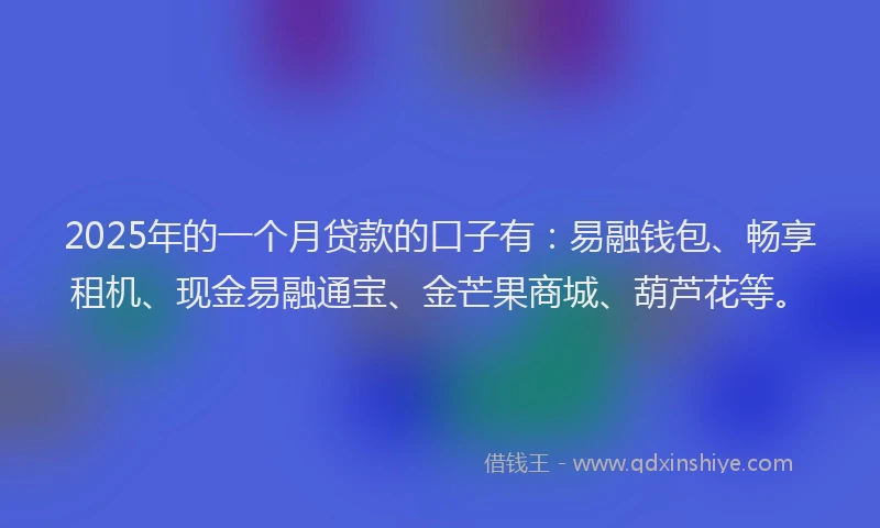 2025年的一个月贷款的口子有：易融钱包、畅享租机、现金易融通宝、金芒果商城、葫芦花等。