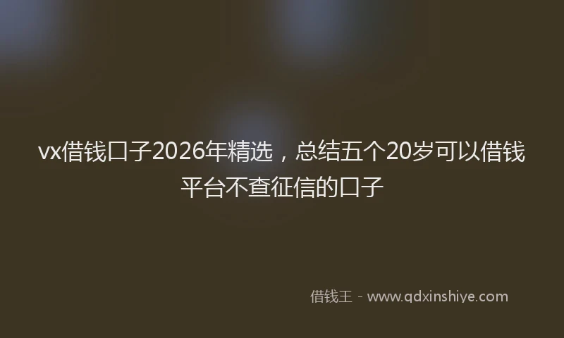 vx借钱口子2026年精选，总结五个20岁可以借钱平台不查征信的口子