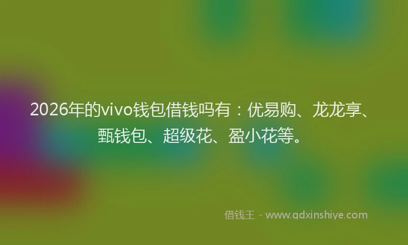 2026年的vivo钱包借钱吗有：优易购、龙龙享、甄钱包、超级花、盈小花等。