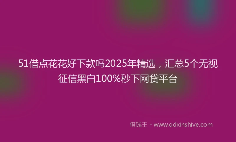 51借点花花好下款吗2025年精选，汇总5个无视征信黑白100%秒下网贷平台