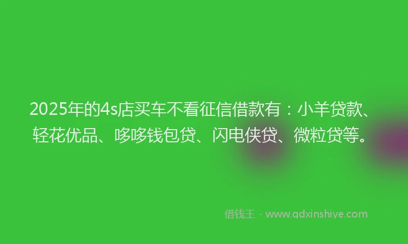 2025年的4s店买车不看征信借款有：小羊贷款、轻花优品、哆哆钱包贷、闪电侠贷、微粒贷等。