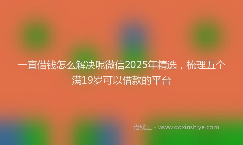 一直借钱怎么解决呢微信2025年精选，梳理五个满19岁可以借款的平台