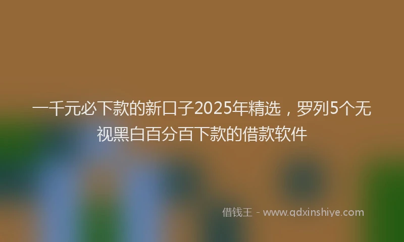 一千元必下款的新口子2025年精选，罗列5个无视黑白百分百下款的借款软件
