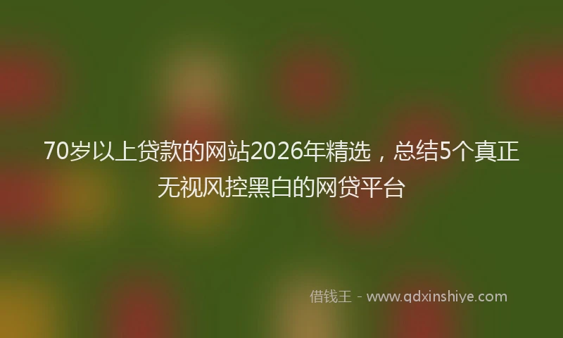 70岁以上贷款的网站2026年精选，总结5个真正无视风控黑白的网贷平台