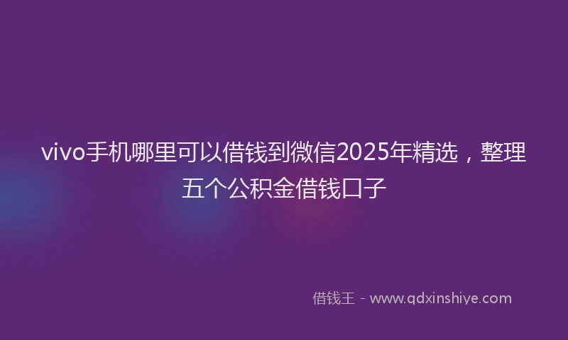 vivo手机哪里可以借钱到微信2025年精选，整理五个公积金借钱口子