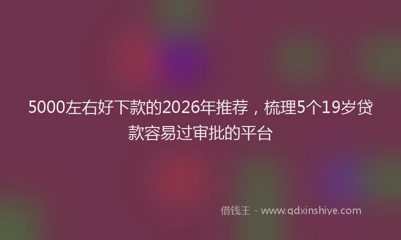 5000左右好下款的2026年推荐，梳理5个19岁贷款容易过审批的平台