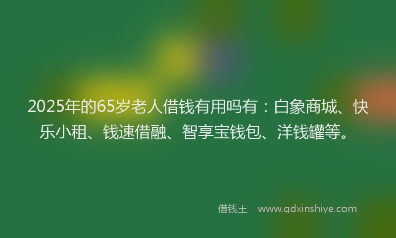 2025年的65岁老人借钱有用吗有：白象商城、快乐小租、钱速借融、智享宝钱包、洋钱罐等。