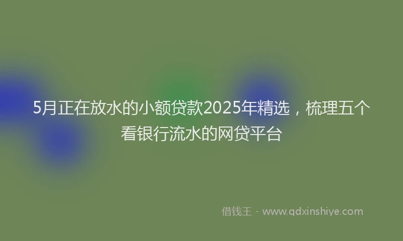 5月正在放水的小额贷款2025年精选,梳理五个看银行流水的网贷平台
