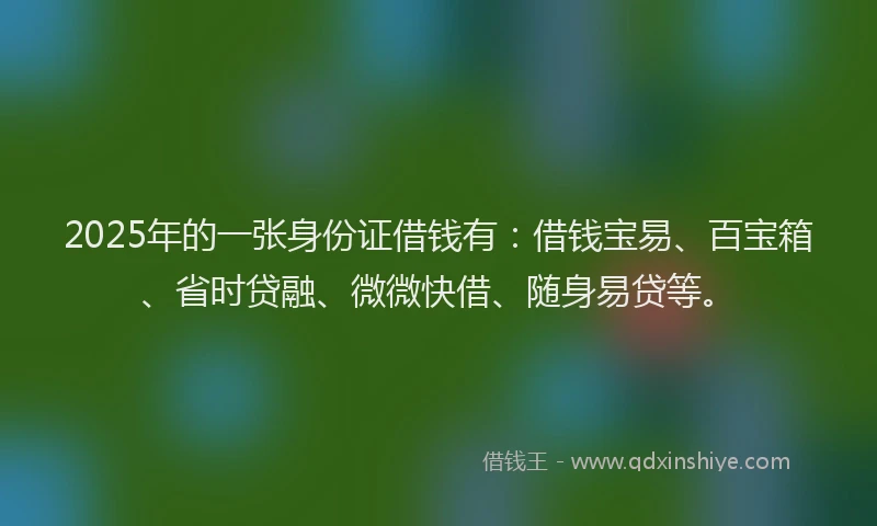 2025年的一张身份证借钱有：借钱宝易、百宝箱、省时贷融、微微快借、随身易贷等。