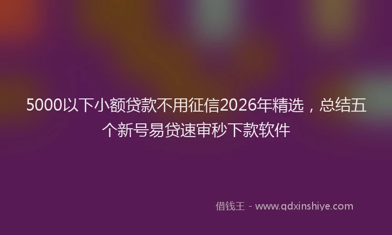 5000以下小额贷款不用征信2026年精选，总结五个新号易贷速审秒下款软件