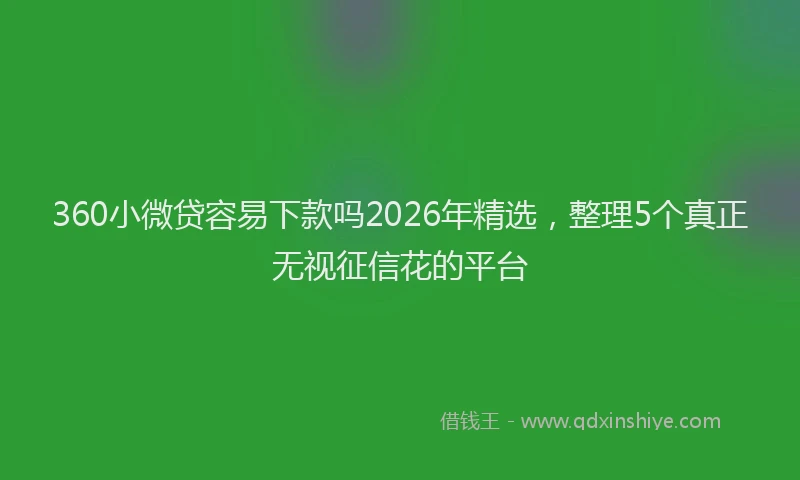 360小微贷容易下款吗2026年精选，整理5个真正无视征信花的平台