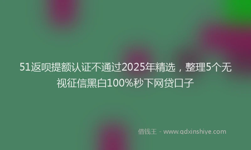 51返呗提额认证不通过2025年精选，整理5个无视征信黑白100%秒下网贷口子