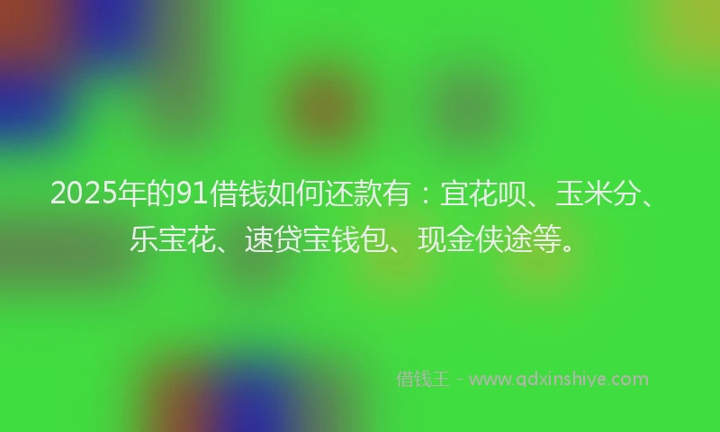 2025年的91借钱如何还款有：宜花呗、玉米分、乐宝花、速贷宝钱包、现金侠途等。