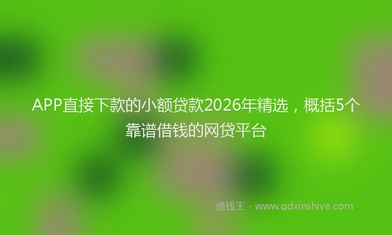 APP直接下款的小额贷款2026年精选，概括5个靠谱借钱的网贷平台