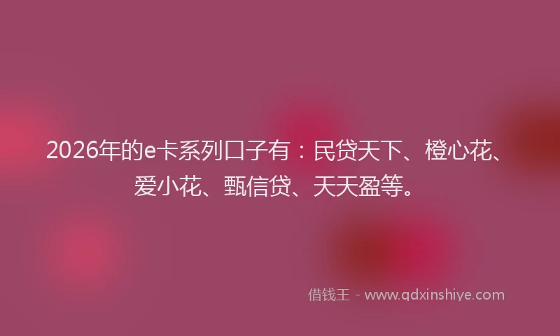 2026年的e卡系列口子有：民贷天下、橙心花、爱小花、甄信贷、天天盈等。