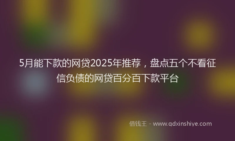 5月能下款的网贷2025年推荐,盘点五个不看征信负债的网贷百分百下款平台