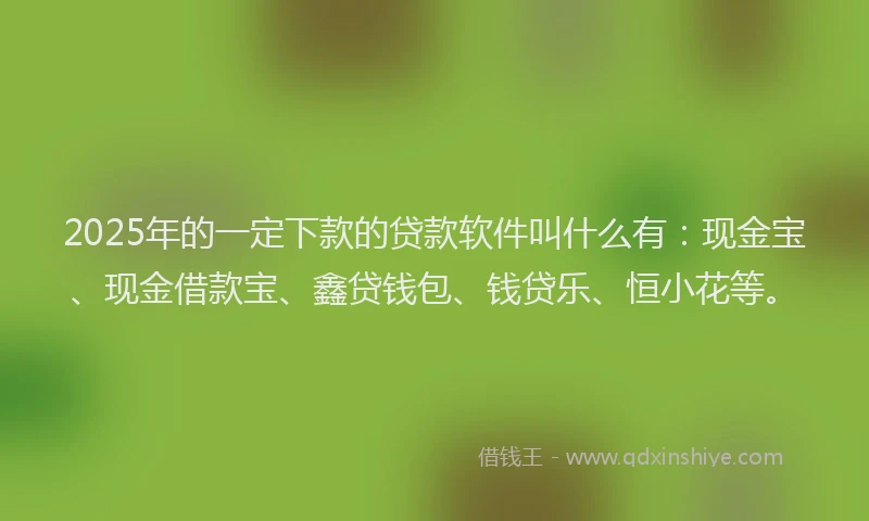 2025年的一定下款的贷款软件叫什么有：现金宝、现金借款宝、鑫贷钱包、钱贷乐、恒小花等。