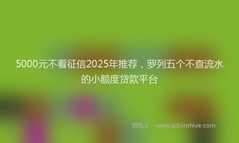 5000元不看征信2025年推荐,罗列五个不查流水的小额度贷款平台