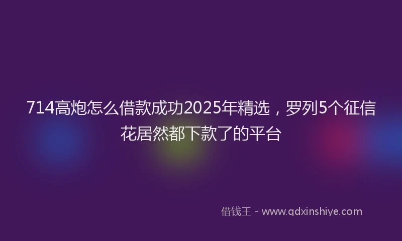 714高炮怎么借款成功2025年精选，罗列5个征信花居然都下款了的平台