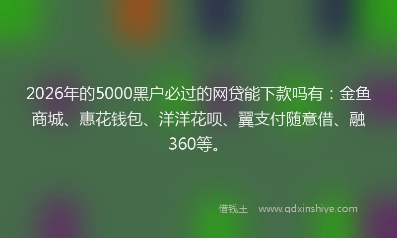 2026年的5000黑户必过的网贷能下款吗有：金鱼商城、惠花钱包、洋洋花呗、翼支付随意借、融360等。