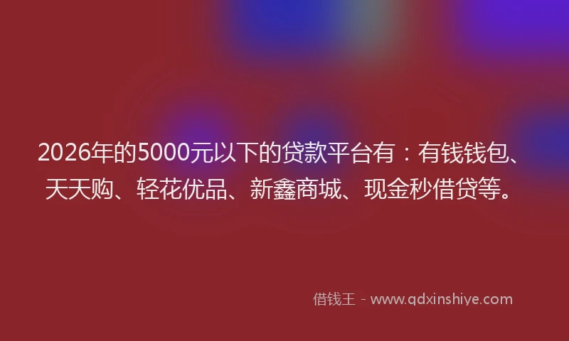 2026年的5000元以下的贷款平台有:有钱钱包、天天购、轻花优品、新鑫商城、现金秒借贷等。