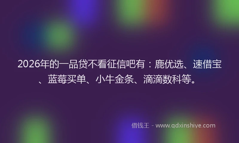 2026年的一品贷不看征信吧有：鹿优选、速借宝、蓝莓买单、小牛金条、滴滴数科等。