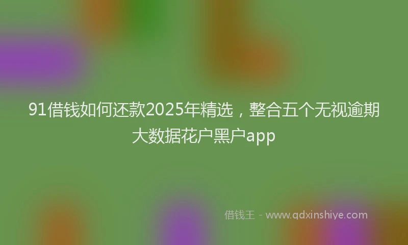 91借钱如何还款2025年精选，整合五个无视逾期大数据花户黑户app