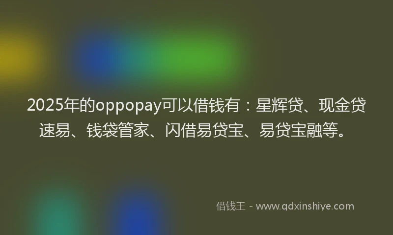 2025年的oppopay可以借钱有：星辉贷、现金贷速易、钱袋管家、闪借易贷宝、易贷宝融等。