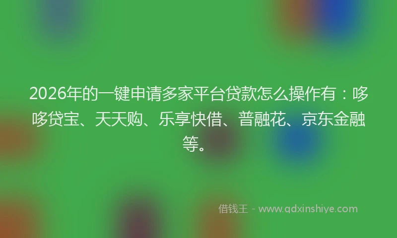 2026年的一键申请多家平台贷款怎么操作有：哆哆贷宝、天天购、乐享快借、普融花、京东金融等。