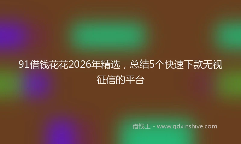 91借钱花花2026年精选，总结5个快速下款无视征信的平台
