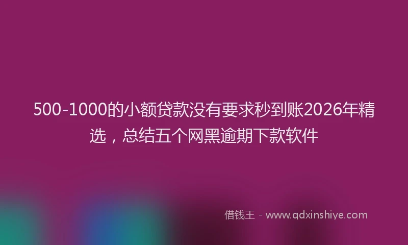 500-1000的小额贷款没有要求秒到账2026年精选，总结五个网黑逾期下款软件