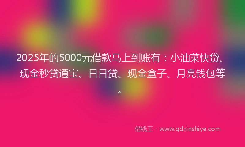 2025年的5000元借款马上到账有：小油菜快贷、现金秒贷通宝、日日贷、现金盒子、月亮钱包等。