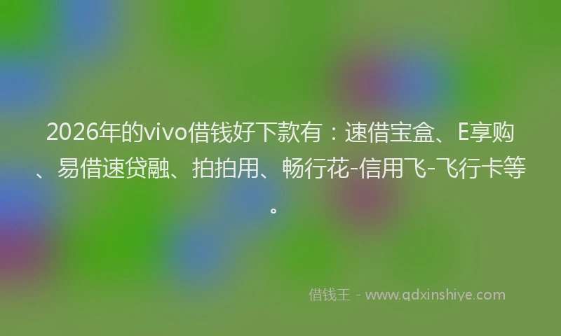 2026年的vivo借钱好下款有：速借宝盒、E享购、易借速贷融、拍拍用、畅行花-信用飞-飞行卡等。