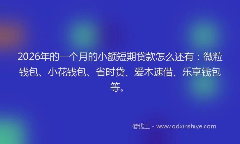 2026年的一个月的小额短期贷款怎么还有：微粒钱包、小花钱包、省时贷、爱木速借、乐享钱包等。
