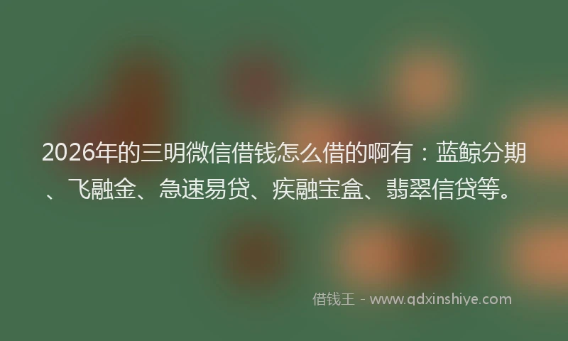 2026年的三明微信借钱怎么借的啊有：蓝鲸分期、飞融金、急速易贷、疾融宝盒、翡翠信贷等。