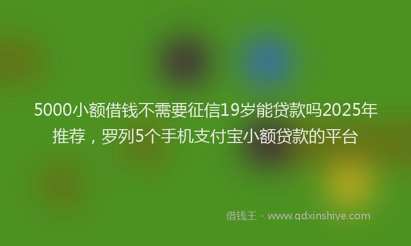5000小额借钱不需要征信19岁能贷款吗2025年推荐，罗列5个手机支付宝小额贷款的平台
