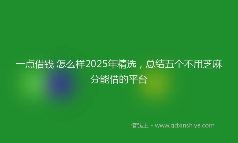 一点借钱 怎么样2025年精选，总结五个不用芝麻分能借的平台