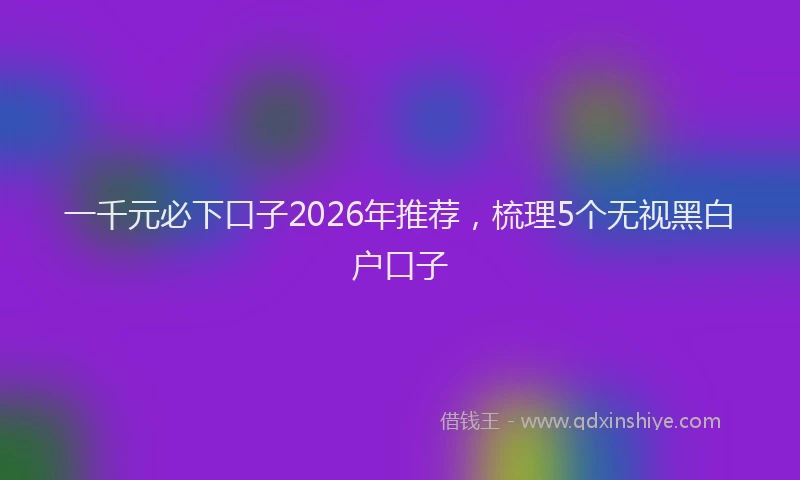 一千元必下口子2026年推荐，梳理5个无视黑白户口子