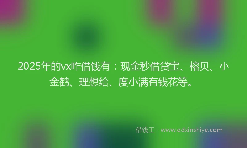 2025年的vx咋借钱有：现金秒借贷宝、榕贝、小金鹤、理想给、度小满有钱花等。