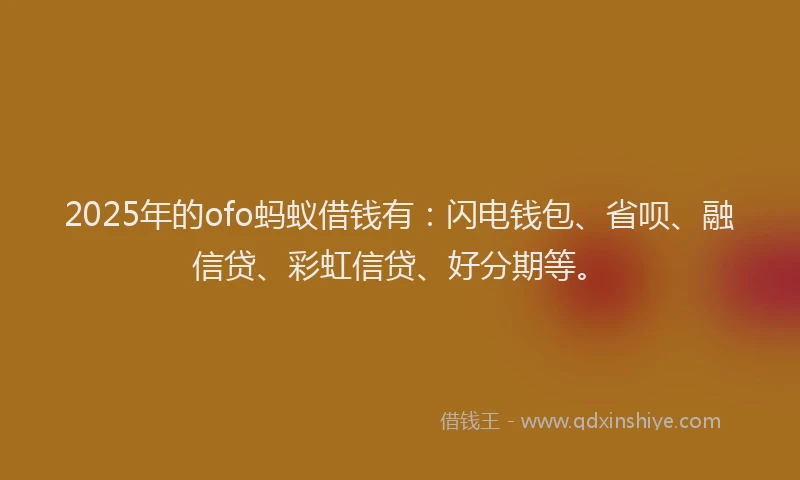 2025年的ofo蚂蚁借钱有：闪电钱包、省呗、融信贷、彩虹信贷、好分期等。