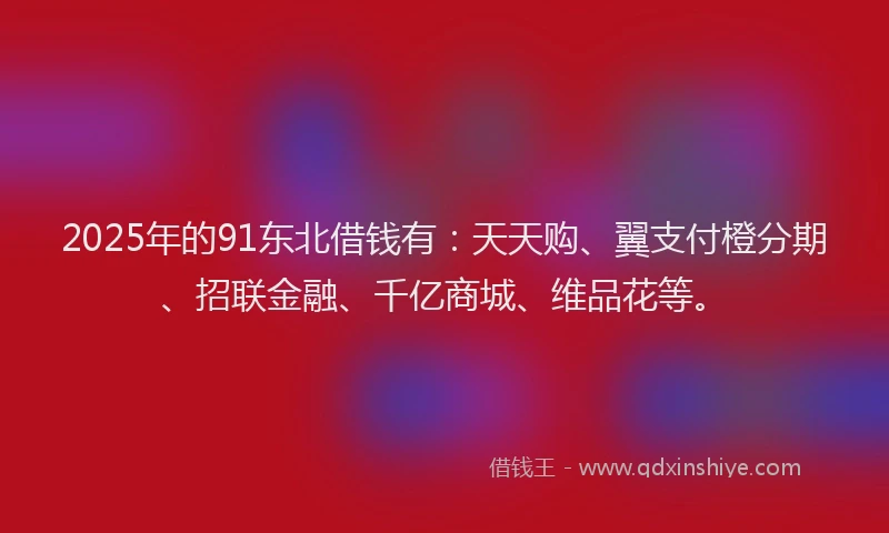 2025年的91东北借钱有：天天购、翼支付橙分期、招联金融、千亿商城、维品花等。