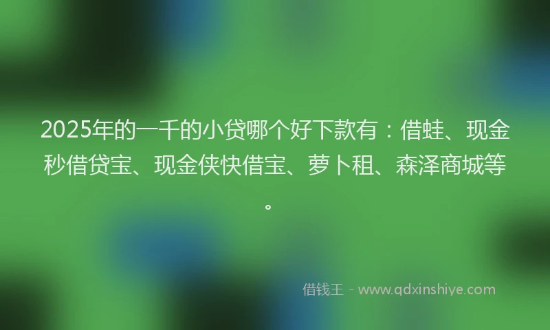 2025年的一千的小贷哪个好下款有：借蛙、现金秒借贷宝、现金侠快借宝、萝卜租、森泽商城等。