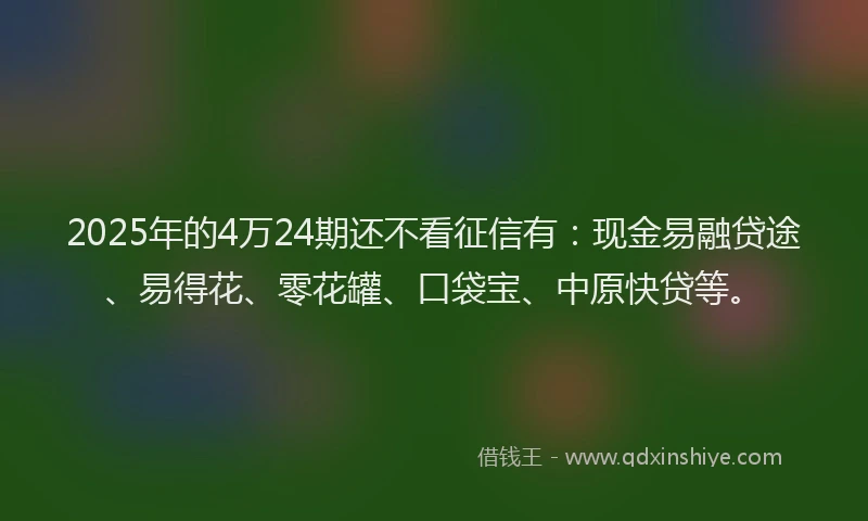 2025年的4万24期还不看征信有:现金易融贷途、易得花、零花罐、口袋宝、中原快贷等。