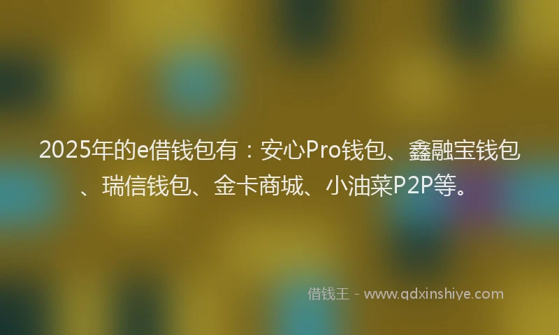 2025年的e借钱包有：安心Pro钱包、鑫融宝钱包、瑞信钱包、金卡商城、小油菜P2P等。