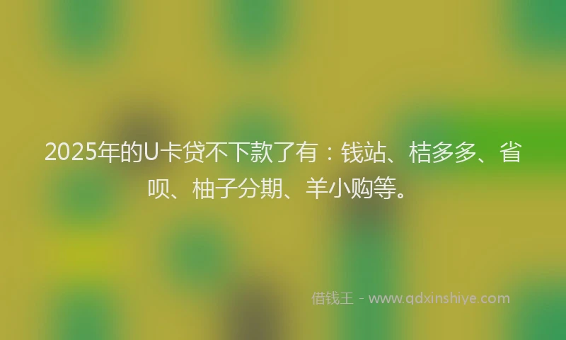 2025年的U卡贷不下款了有：钱站、桔多多、省呗、柚子分期、羊小购等。