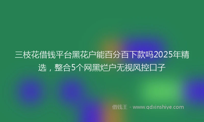 三枝花借钱平台黑花户能百分百下款吗2025年精选，整合5个网黑烂户无视风控口子